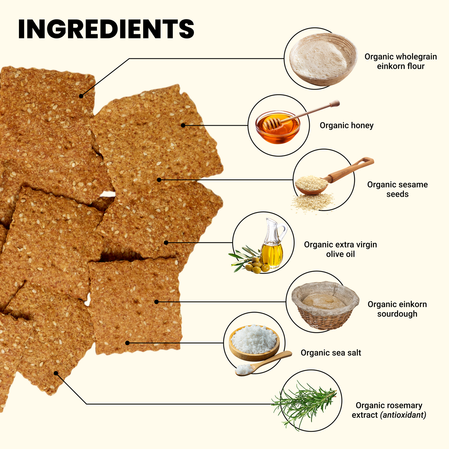 Biscuits croustillants au sésame grillé et au miel