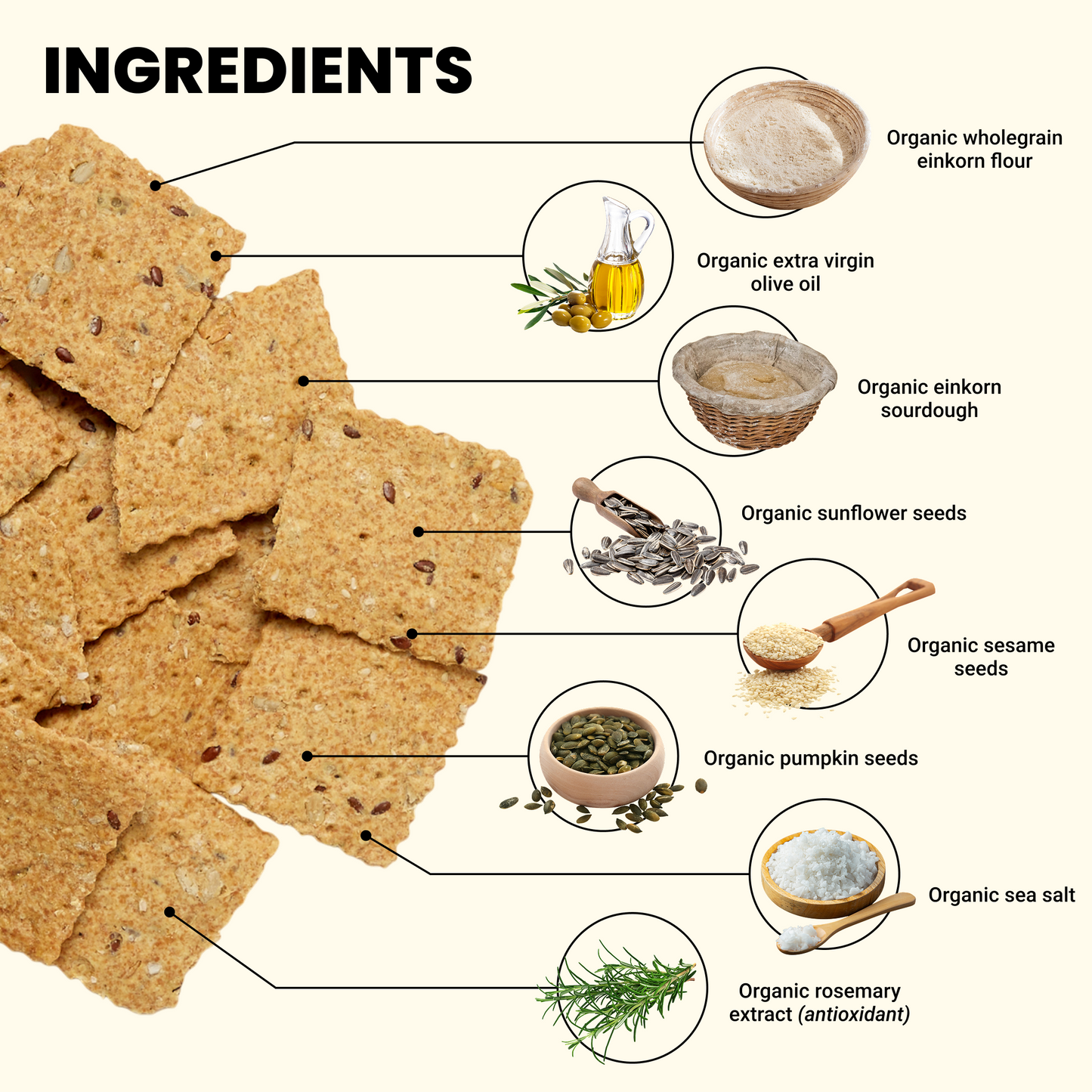 Seeds & Sea Salt Crackers