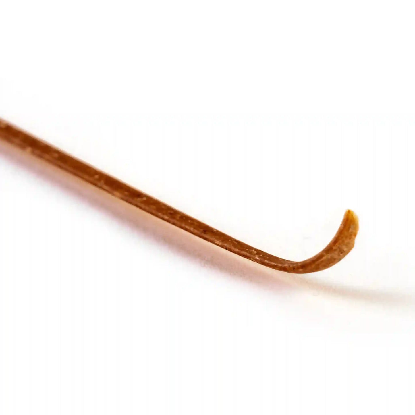 Close-up of single piece of uncooked Organic Einkorn Linguine