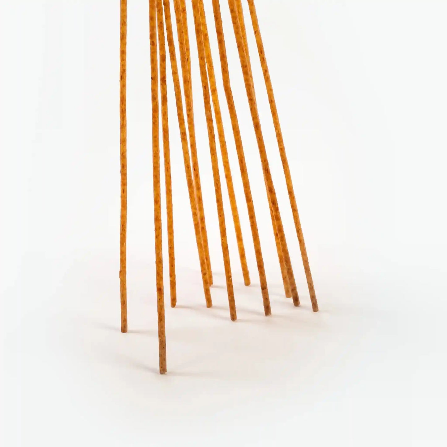 Close-up of multiple pieces of uncooked Organic Einkorn Spaghetti